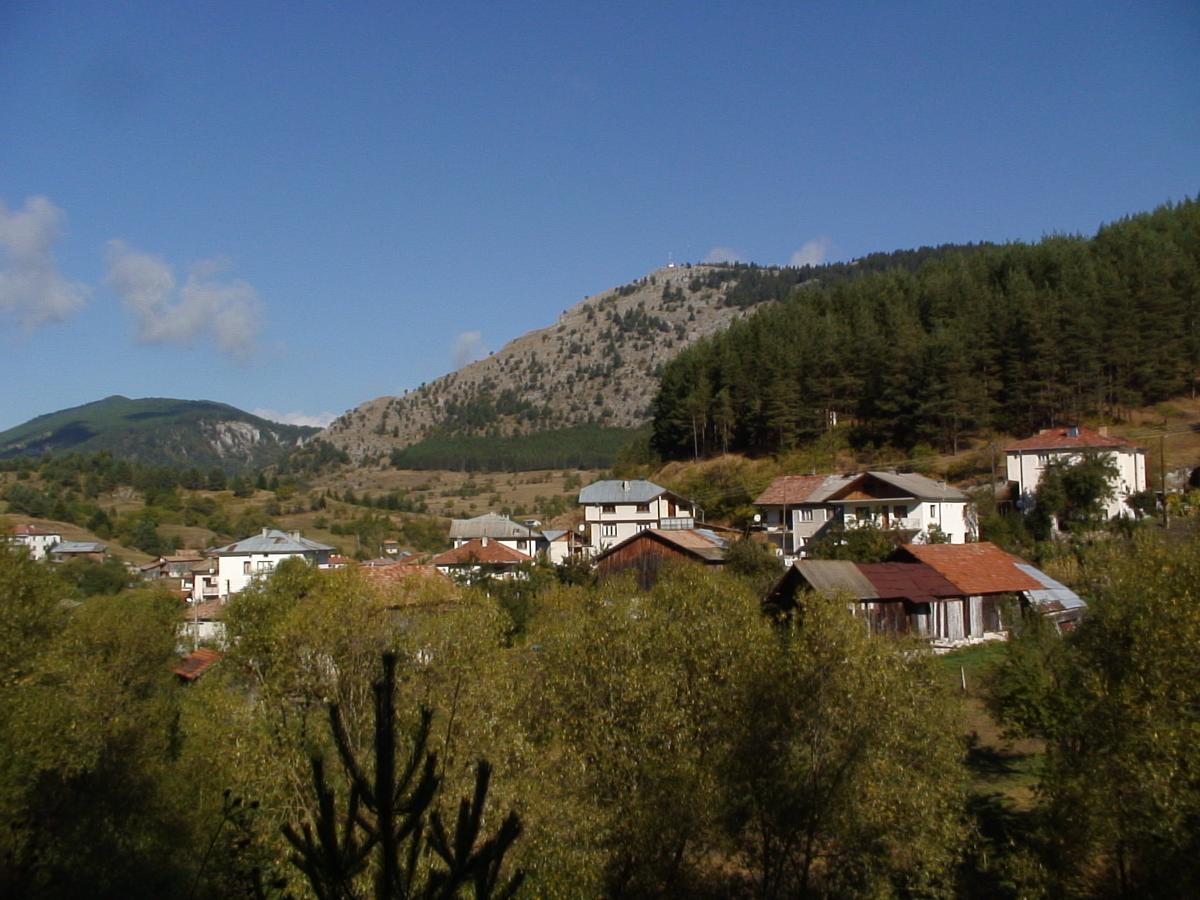 Yagodina Family Hotel Екстер'єр фото