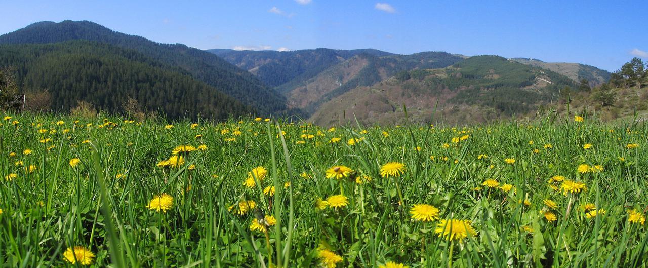 Yagodina Family Hotel Екстер'єр фото